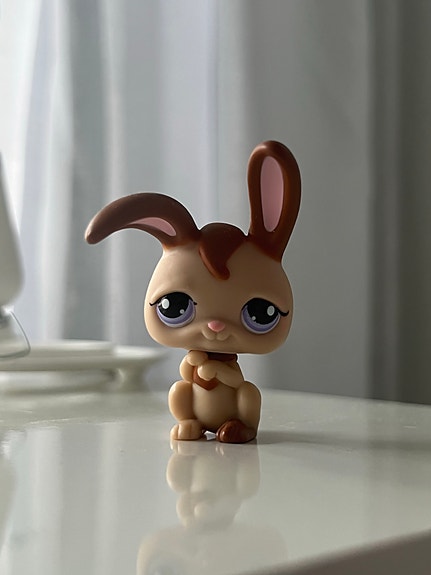 Lps pupu