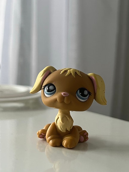 Lps koira