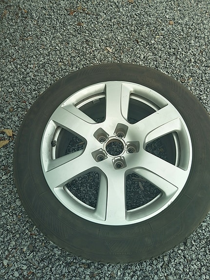 Audin vanteet renkailla 4kpl