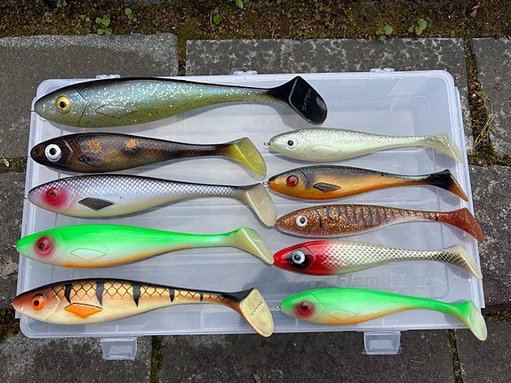 Gator-haukikumit 10kpl