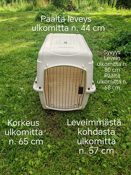 Lentoboksi / häkki koiralle