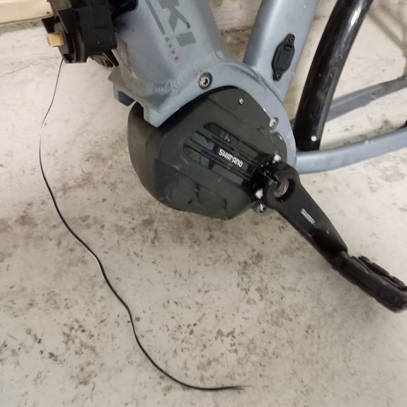 shimano