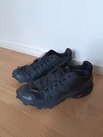 Salomon speedcross gtx 5