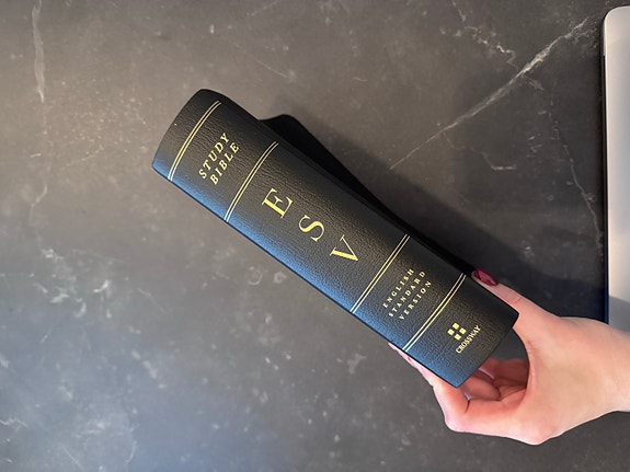 Raamattu ESV study bible compact size