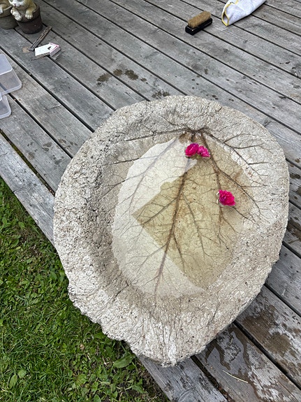 Betoninen raparperi puutarha-allas