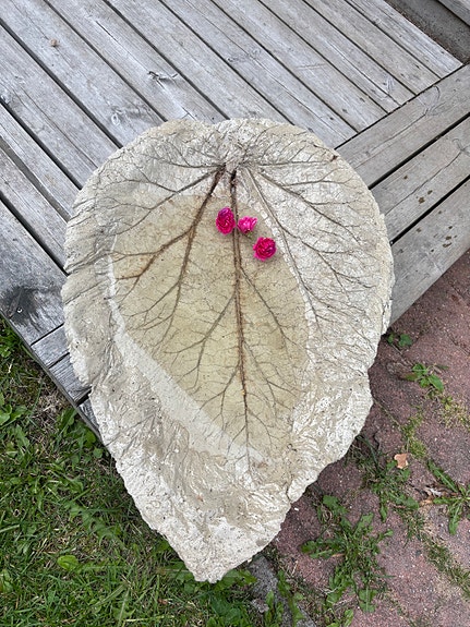 Betoninen raparperi puutarha-allas