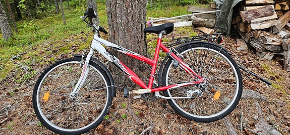 Raleigh lasten/nuorten polkupyörä
