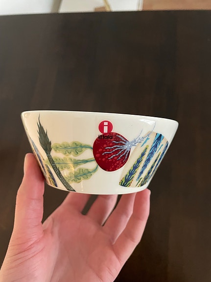 Iittala Taika Sato