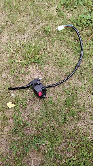Derbi kahvarunko