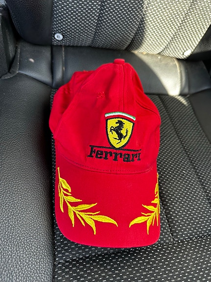 Ferrari lippis