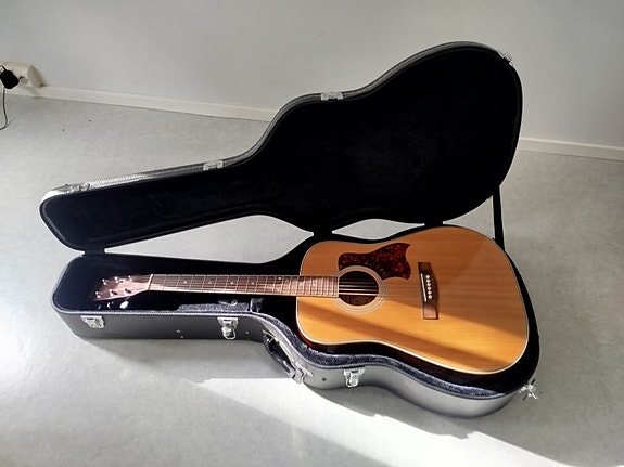 Acoustic guitar and hardcase