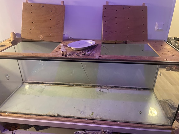 iso terraario