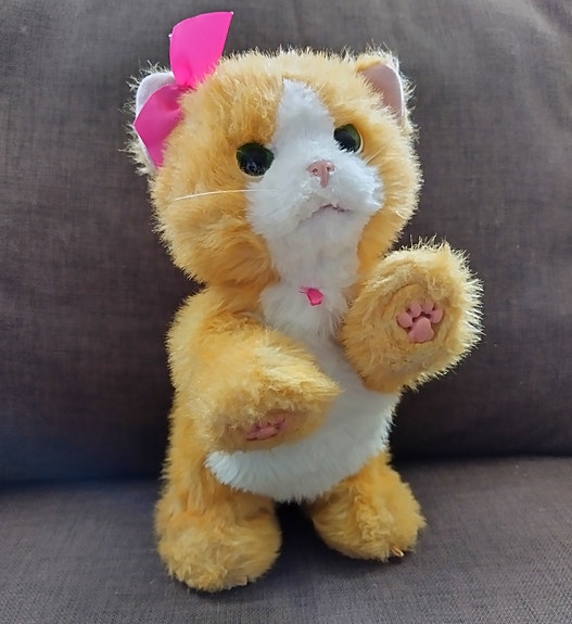 Kissa
