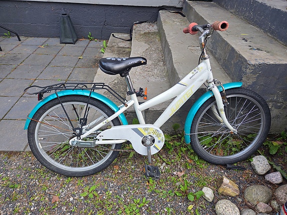 Jupiter pyörä 20'