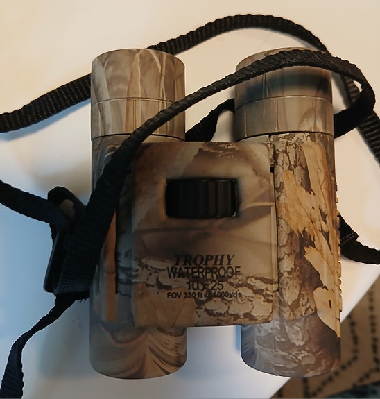 Bushnell Trophy 10x25 kiikarit camo