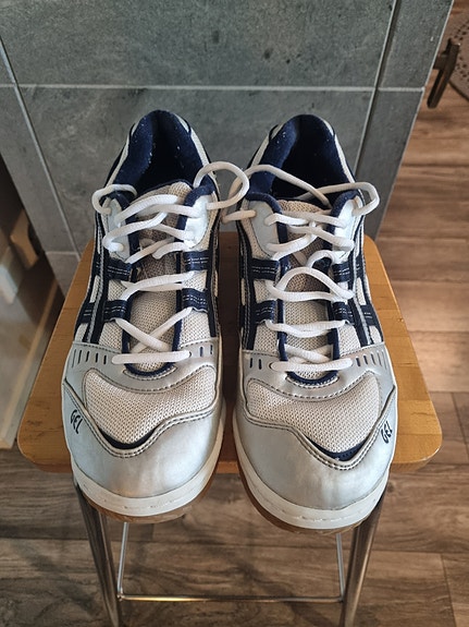Asics sisäpelikengät
