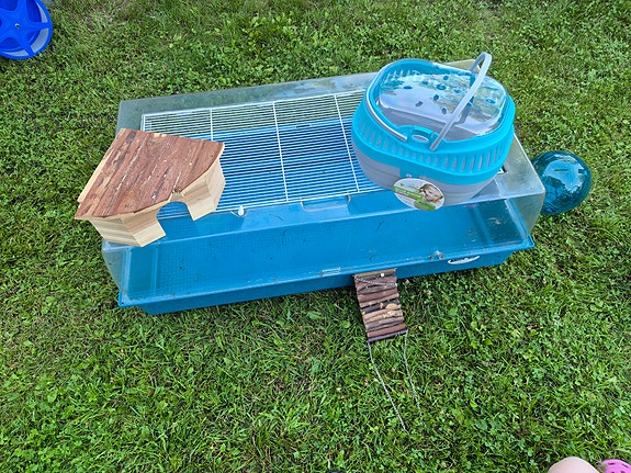 Hamsterin häkki ja tarvikkeet sininen