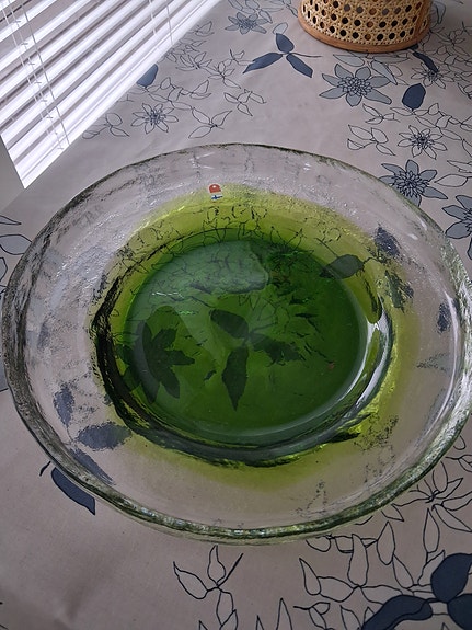 Humppilan lasivati