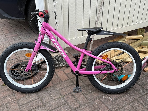 Trek Roscoe 20”