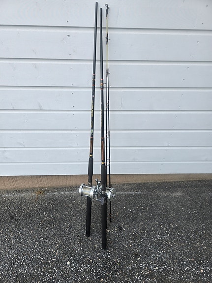 Ambassadeur 7000 C3 ja Ugly Stik Tiger Gold 8