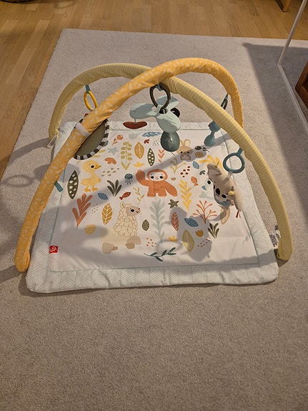 Fisher Price Leikkimatto ja lelukaari (Newborn Gym)