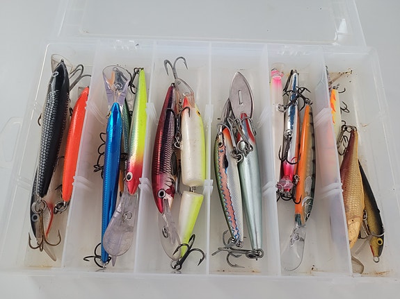Rapala vaappuja