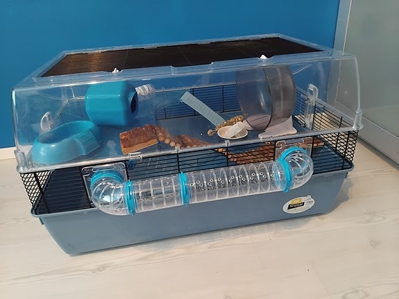 Häkki kääpiöhamsterille