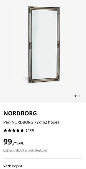 Iso peili 72x162 cm, hopea