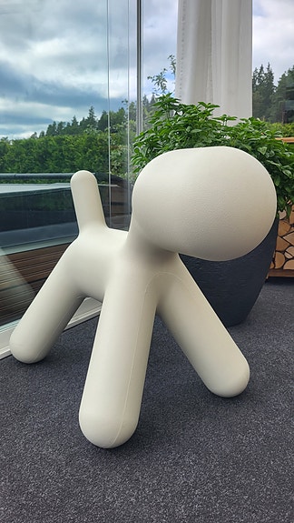 Eero Aarnion Puppy S