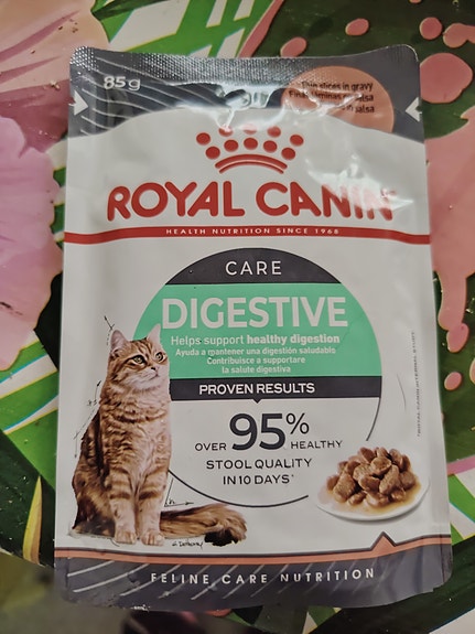 Royal Canin Digestive Care -kissanruoka
