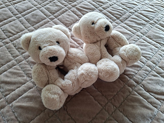 Zara home nalle tossut 22/26