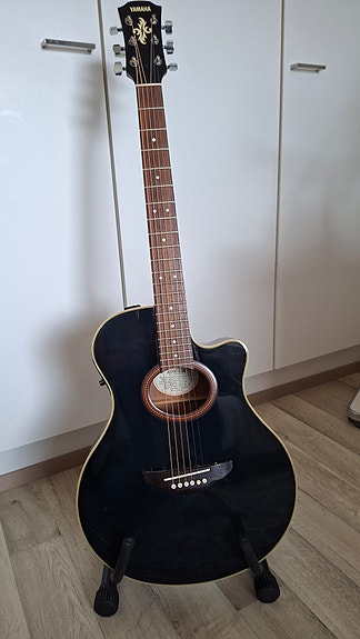 Yamaha APX-4A