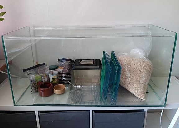 Hamsterin terraario ja tarvikkeet