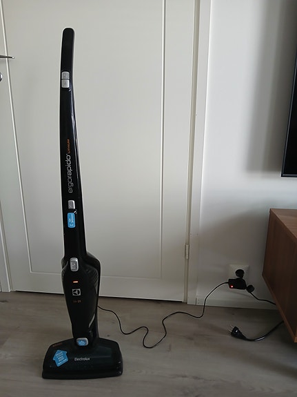 Electrolux Ergorapido varsi-imuri