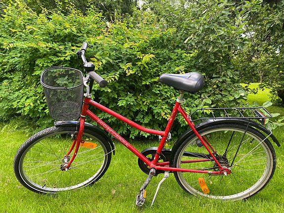 Nopsa monterra 26”