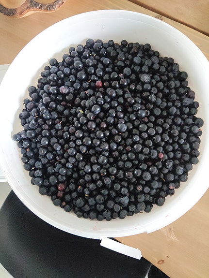 Mustikoita myytävänä
