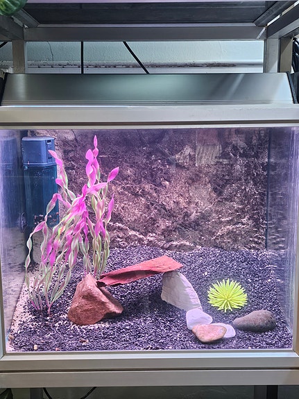 80 L akvaario kokonaisuus