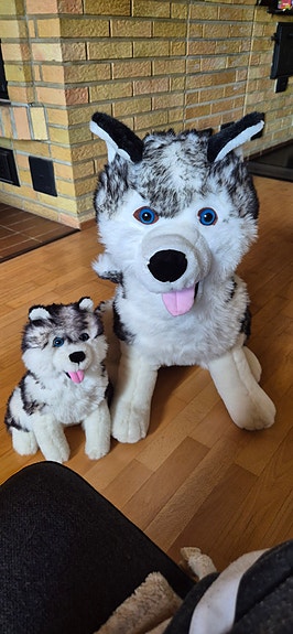 Pehmo huskyt