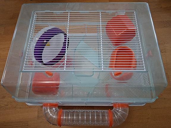 Hamsterin häkki
