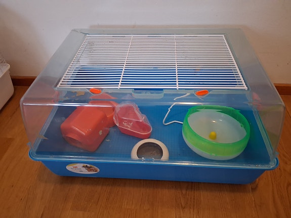 Hamsterin häkki