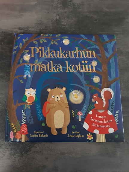 Pikkukarhun matka kotiin lastenkirja