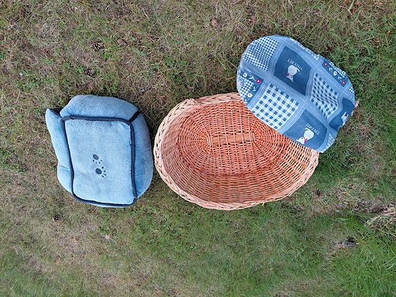 Pienen koiran peti
