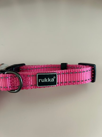 Rukka pinkki koiran panta