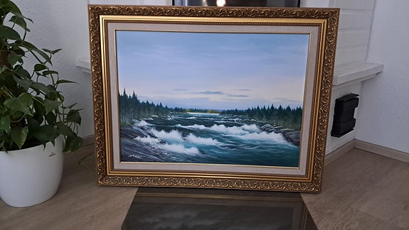 H. Mieskonen Koskimaisema