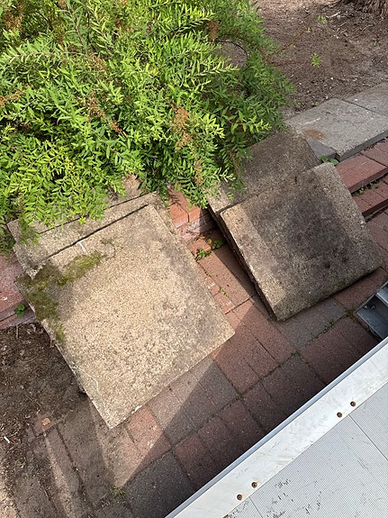 Annetaan isoja pihalaattoja