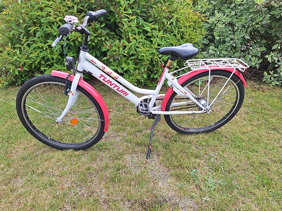 Tunturi Spin 24"