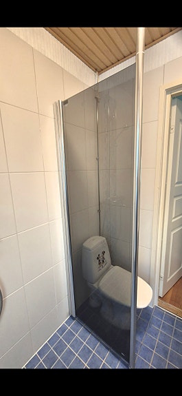 Suihkuseinä