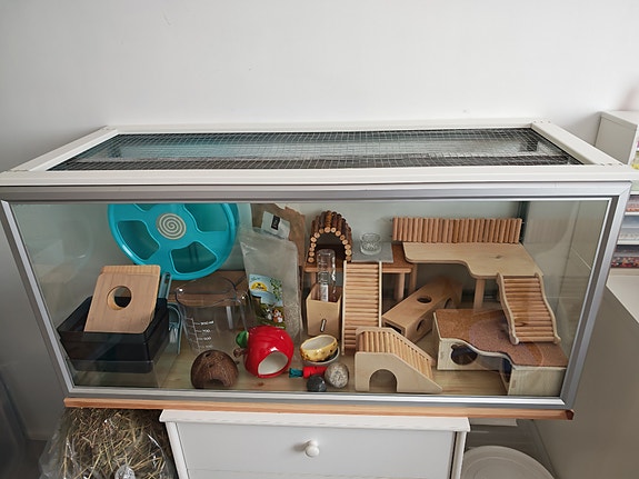 Terraario ja tarvikkeet