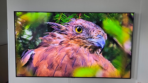 Samsung 65" QLED 4K -huippumalli