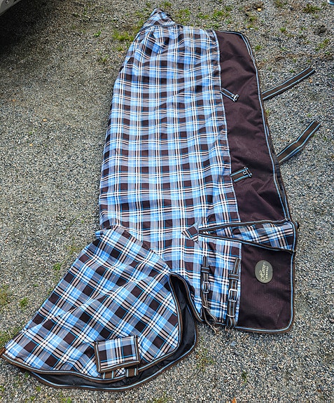 Horse comfort loimi